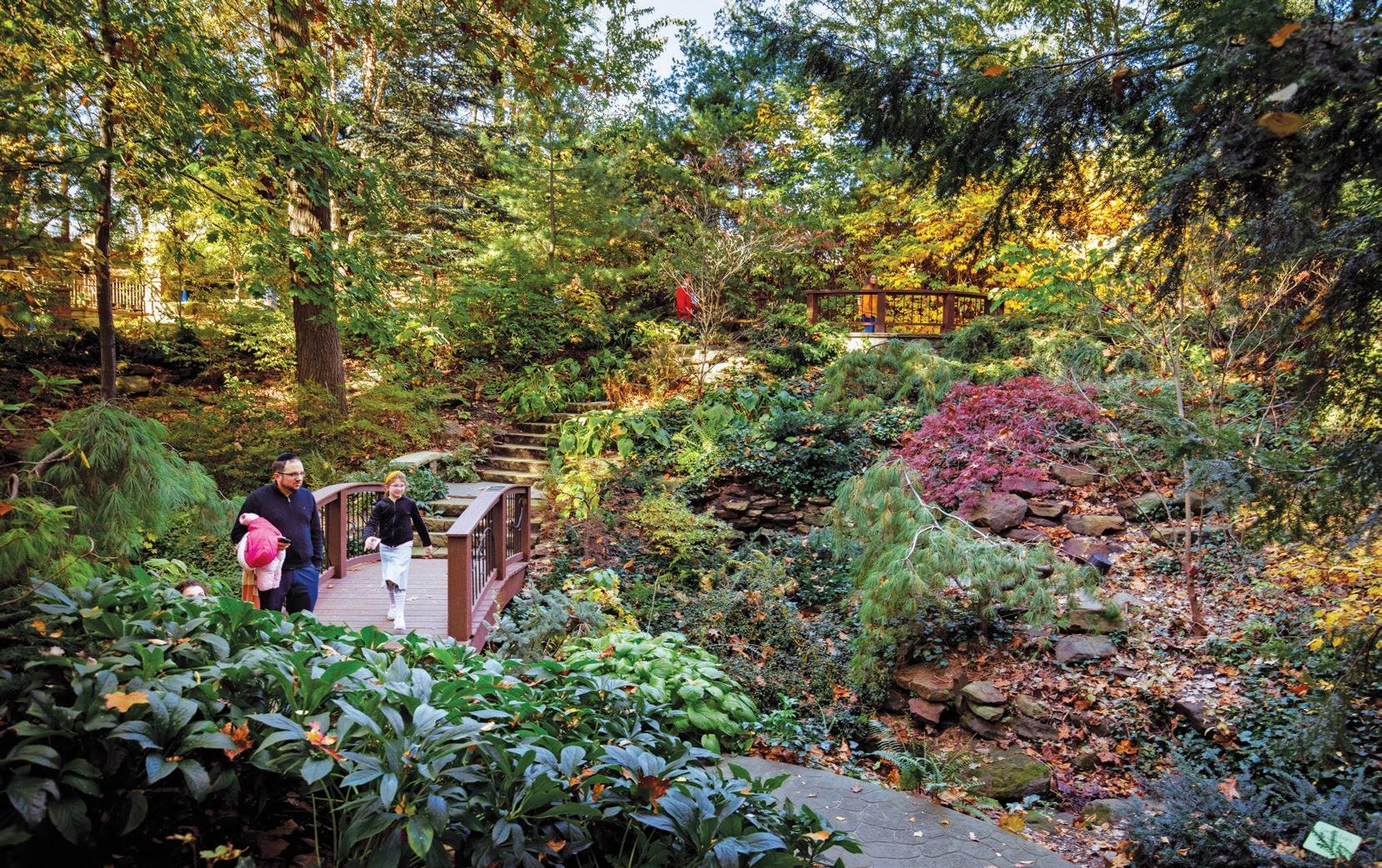 🌳 S.F. 하리토노프 기념 수목원(덴드로로기체스키 사트 임. S.F. 하리토노바)